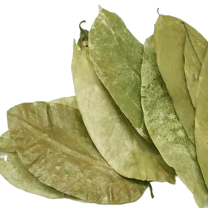 Feuilles de corossol séchées naturelles, Guanabana, thé pour femmes, feuilles de corossol fraîchement séchées - Product Image 3
