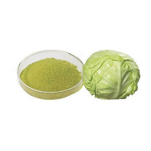 Polvo de Repollo Deshidratado de Excelente Calidad para Cocina e Industria Alimentaria - Product Image 1