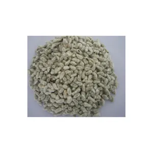 Wholesale Bulk Supply High Quality Cotton Seed for Sale