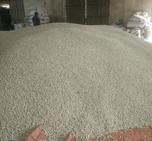 Vente en gros de grains de lotus blancs séchés Ingrédients naturels du Vietnam pour la cuisine et la fabrication de desserts - Product Image 5