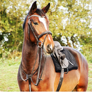 Caballo Anatómico Rosa Oro Detalle Brida Manivela Noseband Flash Negro Marrón CABALLO BRIDLE DELUXE ANATOMIC CUERO ELEVADO - Product Image 2