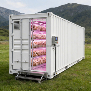 Contenedor de Cultivo de Hongos Personalizado para Producción Comercial de Hongos, Suministro Directo de Fábrica Líder China - Product Image 1
