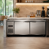 Congelador Comercial de Mostrador, Congelador de Dos Puertas, Congelador Vertical para Restaurantes, Supermercados, Almacenamiento de Alimentos Congelados