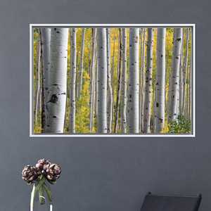 งานศิลปะบนผ้าใบพิมพ์ลาย: ฉากป่าเบิร์ชโกรฟอันงดงาม,1P:กรอบสีขาว - Product Image 1