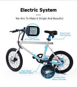 Bicicletta Elettrica Pieghevole con Ruote da 20 Pollici, E-Bike Urbana con Motore Posteriore da 250W, Display LCD, Controllo di Crociera, Produzione OEM - Product Image 3