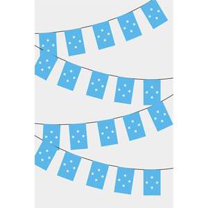 Micronesia Rectangular Flag Bunting Versatile Paper Back School Graduation Christmas Halloween New Year <b>Easter</b> Chinese New Year - Product Image 1