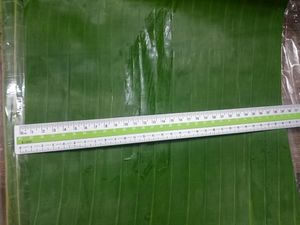 ผู้จัดจำหน่ายใบตองแช่แข็ง เกรดอาหาร สำหรับบรรจุภัณฑ์อาหารแบบดั้งเดิม และตลาดส่งออก - Product Image 4