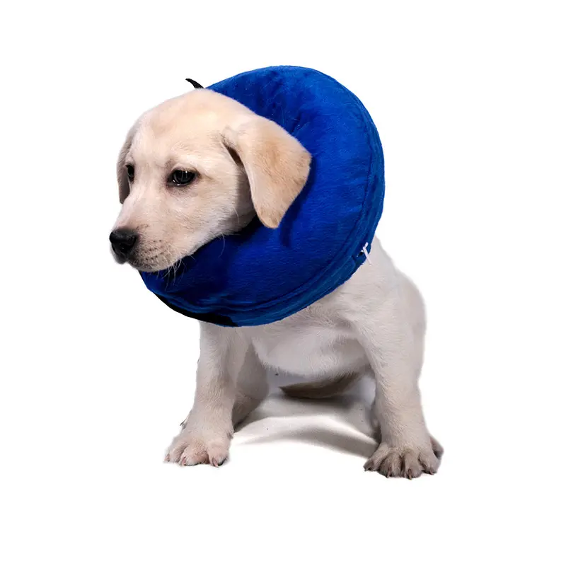 Logo personnalisé produit pour animaux de compagnie pvc bleu doux chien cône collier de protection gonflable pour chiens et chats