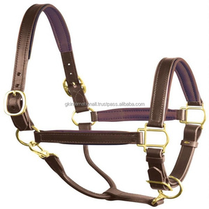 Hecho de alta calidad genuina Habana cuero marrón caballo Halter diseño personalizado doble hebilla corona acolchado caballo Halter - Product Image 6