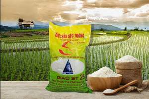 Custom Designed Durable LLDPE Hot Stamping Woven Rice PE Food Grain Packaging Waterproof Wholesale Bulk <b>Bag</b> for Agriculture - Product Image 3