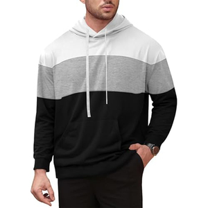 Venta al por mayor de los hombres de invierno con capucha pulóver con capucha 100% algodón ecológico transpirable Casual Color sólido diseño de logotipo personalizado - Product Image 1