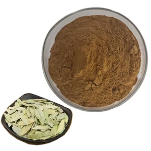Polvo de Hoja de Senna Silvestre 100% Puro de Grado Alimenticio, Marca Privada OEM, Laxante Natural Herbal Ayurvédico para la Digestión y el Bienestar - Product Image 5
