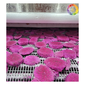 Cubes de fruits du dragon congelés/purée/forme entière, pitaya rouge et blanc IQF, fruit du dragon congelé, fruit du dragon congelé Offres Spéciales - Product Image 1