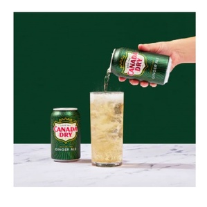Paquete de 12 Latas de 355ml de Cerveza de Jengibre Seca Canadiense, Bebida Gaseosa Refrescante con Sabor Natural a Jengibre - Product Image 4