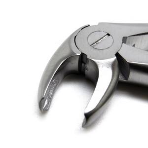 Forceps d'extraction dentaire de haute qualité en acier inoxydable pour molaires supérieures - Product Image 3
