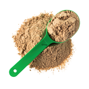 High Quality Tinospora Cordifolia Giloy Extract Powder Healthcare Herbal Supplement Made India Artificial Planting <b>Polybag</b> - Product Image 3