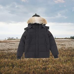 Veste matelassée à capuche de style classique, de haute qualité, chaude, imperméable, coupe-vent, épaisse, écologique, brodée, décontractée, service OEM - Product Image 2