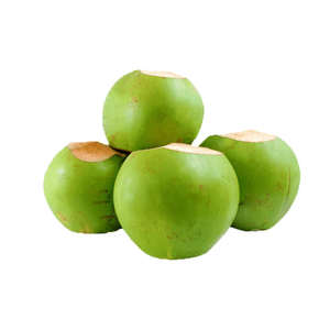 Coco Fresco de Primera Calidad, 12-15 cm, de Agua Dulce, Semi-Descascarado, Agrícola, de Vietnam, Fruta Subtropical, Coco Joven Madurado - Product Image 3