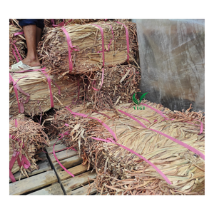 Suministro sostenible con base en Vietnam de fibra cruda de jacinto de agua seca para artesanías tejidas, diseño textil y cestería - Product Image 5