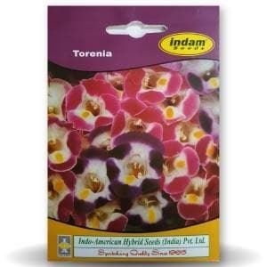 Indam Torenia <b>Seeds</b> 15 <b>Seeds</b> Multi-Colored From India - Product Image 1