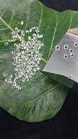 Lote de Diamantes Naturales Redondos de Corte Brillante, Color F, 100% Reales, VVS VS SI SI1, Precio al por Mayor para Fabricación de Joyas, Mantra Diamond