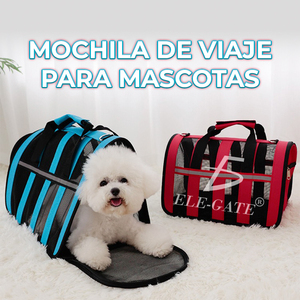 Borsa Trasportino Grande per Animali Domestici, Comoda e Sicura per Viaggiare, per Cani e Gatti, Traspirante e Regolabile, Forma Quadrata - Product Image 4