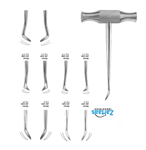 Elevadores de Punta de Raíz de Acero Inoxidable de Alta Calidad, Fabricante y Exportador de Instrumentos Dentales WINTER - Product Image 3