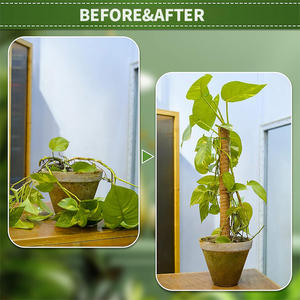<b>Cover</b> Shipping Fee US Stock 4pcs <b>Plastic</b> Coated Moss Pole Kit Garden Ties Labels Coir Totem Pole Monstera Indoor/Outdoor - Product Image 3