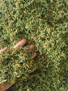 Fleurs de papaye mâles séchées de haute qualité au Viet Nam pour infuser du thé qui favorise la digestion et le bien-être général - Product Image 5