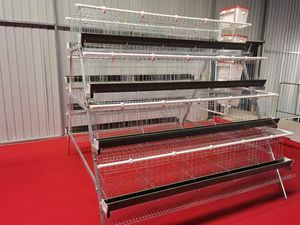 Venta caliente personalizada multicapa tipo a riego automático y eliminación de estiércol capa colectora jaula para pollos - Product Image 6