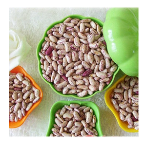 Prix de vente chaud de haricots pinto séchés/haricots mouchetés légers en quantité en vrac - Product Image 4