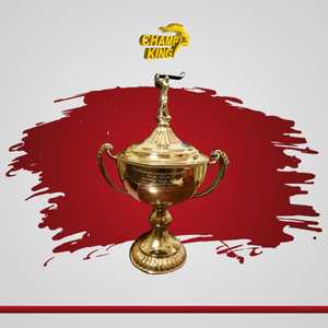 Stainless Steel Sports <b>Trophy</b> <b>Cup</b> Customized Achievement Award Display Durable Premium Quality - Product Image 2
