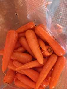 New Cà Rốt Crop Cao Cấp Chất Lượng Class Một Cà Rốt Ai Cập Tươi Cà Rốt Bán Buôn Giá Rẻ Giá Tự Nhiên Khỏe Mạnh Rau Sạch - Product Image 3