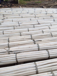 2021 gran oferta EUTECH EVN102 palo de ratán sin pulir económico 10mm-40mm diámetro PP embalaje Vietnam agricultura - Product Image 5