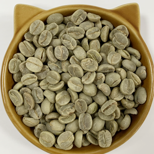 High Altitude Arabica <b>Coffee</b> <b>Beans</b> 1500m Vietnam Full Washed Process Premium Unroasted <b>Beans</b> OEM/ODM Service Available - Product Image 5