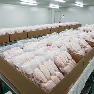 Fresh Frozen Chicken Wings Bulk Clean and Packed Product <b>Fast</b> Delivery in Stock for Wholesale Buyers Exclusive Offer - Product Image 3