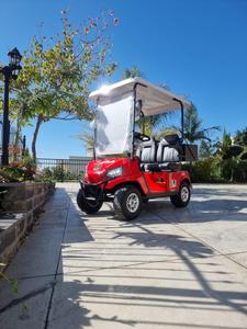 Mini Carro de Golf Eléctrico G1, Scooter de Movilidad para Personas con Discapacidad, con Batería de Litio y Control Manual a través de las Manubrias - Product Image 1