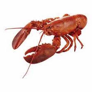 Queue de homard frais congelé Vente à bon prix Homard de qualité supérieure pour vos délices culinaires - Product Image 6