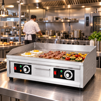 Grill électrique commercial à surface plate, double contrôle de température, plaque de 10 mm, interrupteur étanche, acier inoxydable, 220V/110V