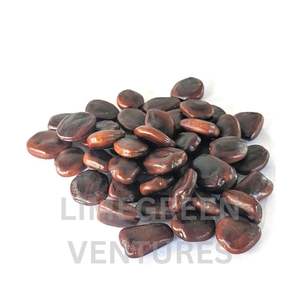 Semillas de Tamarindus Indica de alta calidad marrón blanco Kenal Imli proveedor de exportación a granel para agricultura de alimentos industriales estante de 12 meses - Product Image 1