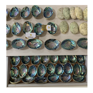 Venta al por mayor de conchas marinas de abulón natural, grandes conchas de playa, decoración del hogar con el vibrante y brillante de auténticas conchas de abulón - Product Image 6