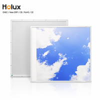 Panneau LED Holux 40W ciel bleu artificiel SMD2835 6000K 595x595mm PMMA Aluminium ENEC CE CB RoHS IES LDT pour bureau, installation facile