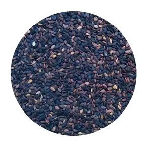 Semillas de sésamo mixtas negras de alta calidad de Uzbekistán Limpio y comestible para alimentos Especias naturales a granel Sésamo