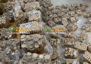 Chien à mâcher en bois de café naturel vietnamien de haute qualité/café en bois de café café à mâcher de Eco2go - Product Image 6