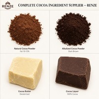 Poudre de cacao naturelle 10-12% de matières grasses, qualité alimentaire, approvisionnement en vrac pour l'industrie de la pâtisserie et des biscuits