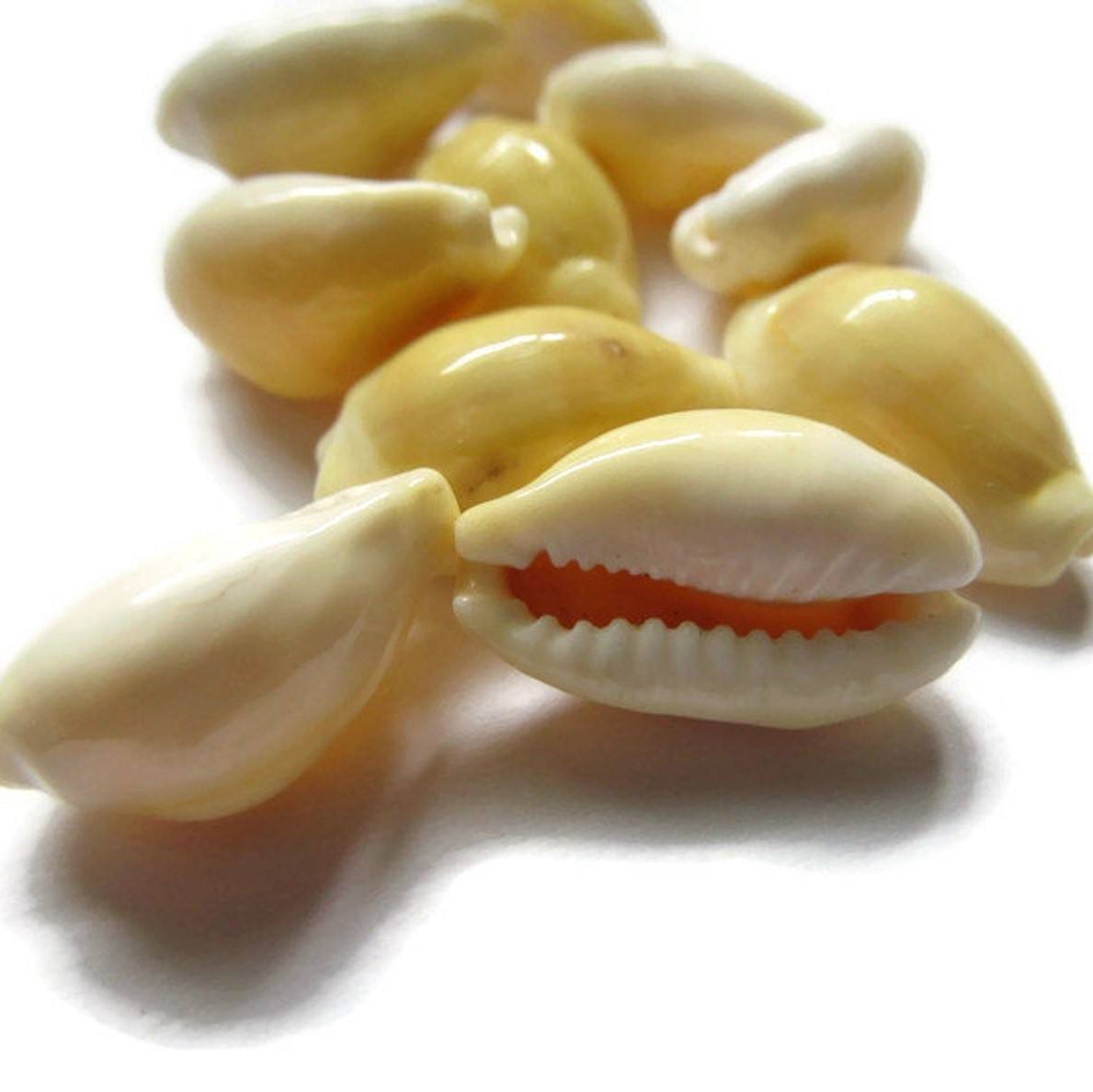 ธรรมชาติ