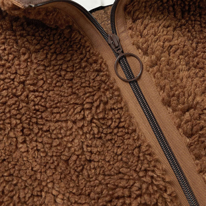 Nouveautés Veste d'hiver à fermeture éclair en Sherpa doux Vêtements de rue décontractés amples Logo personnalisé à vendre Vestes en polaire pour hommes - Product Image 4