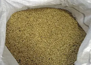 Alimento para aves de corral de alta calidad, carne de animales de pollo, harina de hueso a bajo precio de mercado, alimento para aves de corral de alta calidad 50%, alimento para animales de pollo - Product Image 3