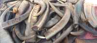 Pointe de corne de buffle sculptée sur mesure de haute qualité, écologique, couleur naturelle, style animalier, pour l'art et la collection, vente en gros