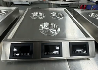 Cuiseur vapeur électrique commercial pour aliments, machine à vapeur pour pains cuits à la vapeur, raviolis, chauffe-aliments, cuiseur vapeur électrique pour le petit-déjeuner